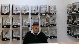 Llarguet Español, capitulos 7 y 8 del estandar