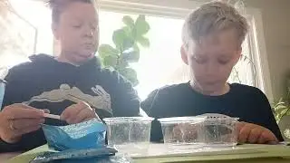 The Magic Beaker