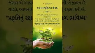 International forest day 2023 🌿 #internationalforestday #forest2023 #forestday