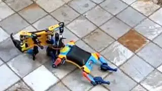 Epic Robot Wrestling: Two Bittles Face Off in a Fierce Showdown!