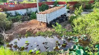 Let's  watch!Wonderful START Project LANDFILL BY Excellent Skill Driver DOZER KOMATSU D31P Push Soil