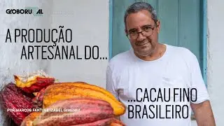 A produ&ccedil;&atilde;o do cacau que d&aacute; origem ao melhor chocolate fino do Brasil | Globo Rural