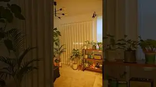湘南に住む30代夫婦の日常🏝️day150モンステラアルボとアルテシマへ水やり🪴七里ヶ浜のポタティスへ🍹#モーニングルーティン #morningroutine #plants #観葉植物