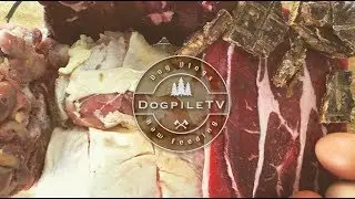 Raw Feeding Compilation ASMR & Mukbang