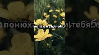 тгк: аллэ🥀 #активприди #анимация #реееек #стамбул