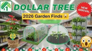 Dollar Tree&rsquo;s Best Garden Finds For 2026!🪴