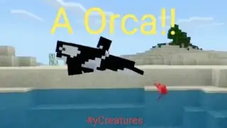 yCreatures Curiosidades!! #1- A Orca!!