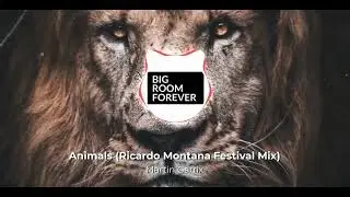 Martin Garrix - Animals (Ricardo Montana Festival Mix)