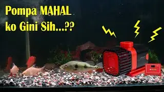 UNBOXING POMPA AQUARIUM CANGGIH HEMAT LISTRIK | HAIDEEWELL SMART PUMP 3500 LPH