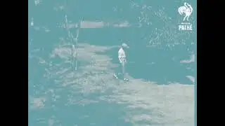 1908 pga tour Title
