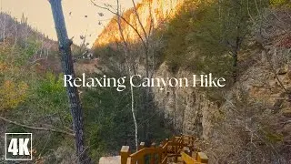 Relaxing Fall Hike on Canyon Trail at Sunset | Natural Sounds Only (No Talking, 4K)