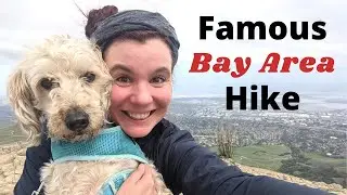 Hiking Mission Peak Trail | Exactly how to do it!