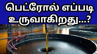 How Petrol & Diesel Are Made Explained in Tamil | பெட்ரோல் டீசல் எப்படி உருவாகிறது