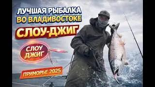 Ушли за 100 штук. Лосось(сима горбуша)-такая рыбалка бывает раз в жизни.#рыбалка#японскоеморе#сима