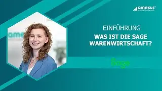 Sage 100 Warenwirtschaft - einfach erklärt | Einführung Deutsch