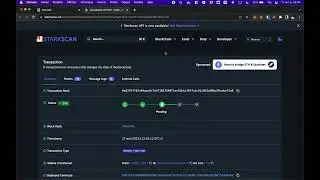 Starksheet X StarknetId mint: real time full process from scratch