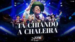 TÁ CHIANDO A CHALEIRA - João Luiz Corrêa & Grupo Campeirismo ( DVD 25 anos de Carreira) 4k 2024