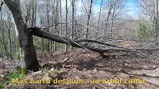 Reinosa  Collado de Las Ánimas