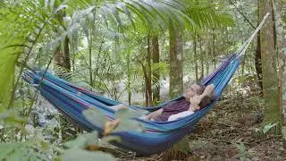 Narrows Escape Rainforest Retreat - Best romantic accommodation Montville, Queensland Australia