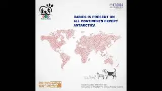 Discover the facts about Rabies