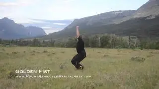 Golden Fist