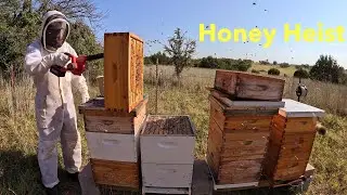 Harvesting our Honey - Part 1