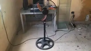 Universal Pedestal Fan