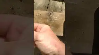 Air locker nail remover review did they Nail it.