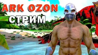 АРК ОЗОН Стрим №3 ARK SE