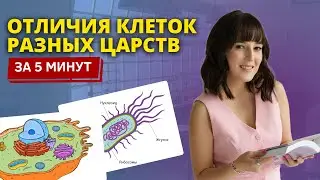 ОТЛИЧИЯ КЛЕТОК РАЗНЫХ ЦАРСТВ ДЛЯ ЕГЭ ПО БИОЛОГИИ