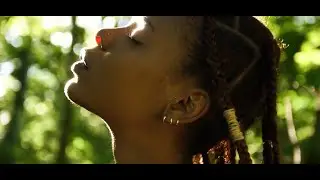 Animal Kingdom | Story