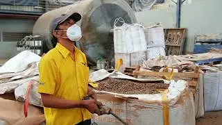 EKSPOR WOOD PELLET KE KOREA! | BAHAN BAKAR PABRIK PENGGANTI BATU BARA DAN GAS!