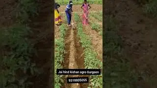 Agriculture Tools, Garden tools , kisan tools, German Tools Jai Hind Kishan Agro Gurgaon 9310005055