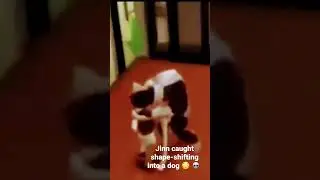 Jinn shape-shifting into a dog 😳 💀 #jinns