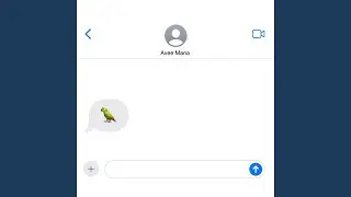 Green Budgie