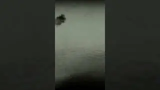 Gnose sem frescuras