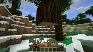 Minecraft in 10 Seconds!