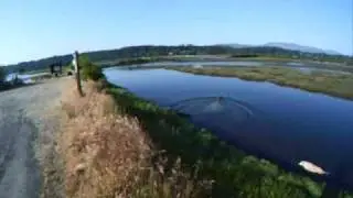 Marshall doing a land water land retrieve