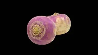 Bleood x Osamason Type beat 