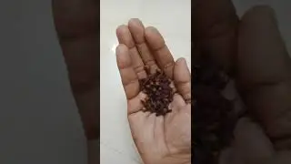 ദിവസേന ഒരു ഗ്രാമ്പൂ കഴിച്ചാൽ 😌 | clove #clove #kerala #trending