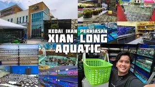 🐠 SHOPPING VLOG DI XIAN LONG AQUATIC SHAH ALAM | Syurga Ikan Hiasan & Akuarium! 🛍️