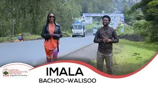 Imala Bachoo-Walisoo