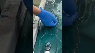 Mixing Resin &ndash; Where Art Begins