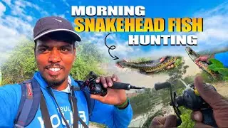 💥 தரமான நாட்டு விரால் மீன் வேட்டை மக்களே || Country sneakhead fishing tamil || anglers tamil‼️