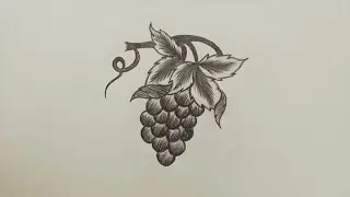 Simple Grape Drawing Tutorial | Easy Pencil Art for Beginners #PencilwithMe #Grapedrawing #pencilart
