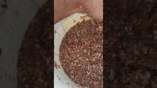 كيفية إضافة N BKالى نشارة الخشب وخلطه مع بقية الترب