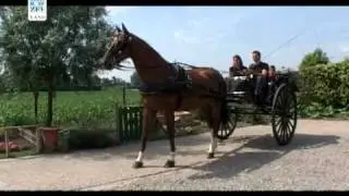 Rienkriee mee de Sterren: Sjezenrijden