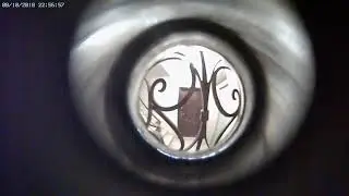Knock Knock Ginger Retard Captured With Titathink TT520PW Mini  Hidden Camera