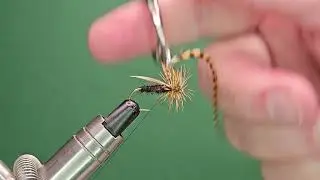 Early Black Stonefly Nymph - One Fly A Day