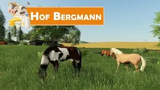 LS19 HOF BERGMANN #219: Pferde ausreiten und Striegeln | LANDWIRTSCHAFTS SIMULATOR 19